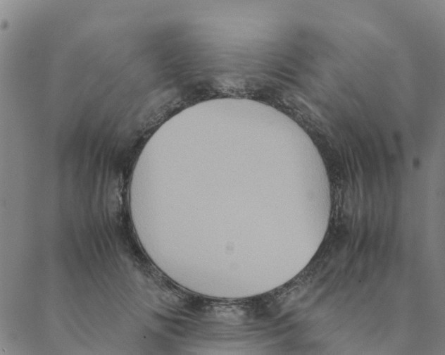 X0000088400702200706191358