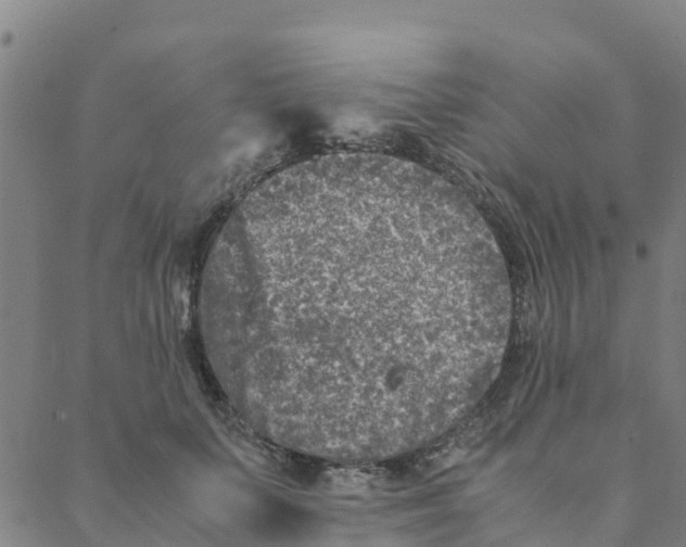 X0000088400703200706191358