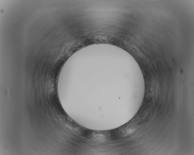 X0000088400706200706191358