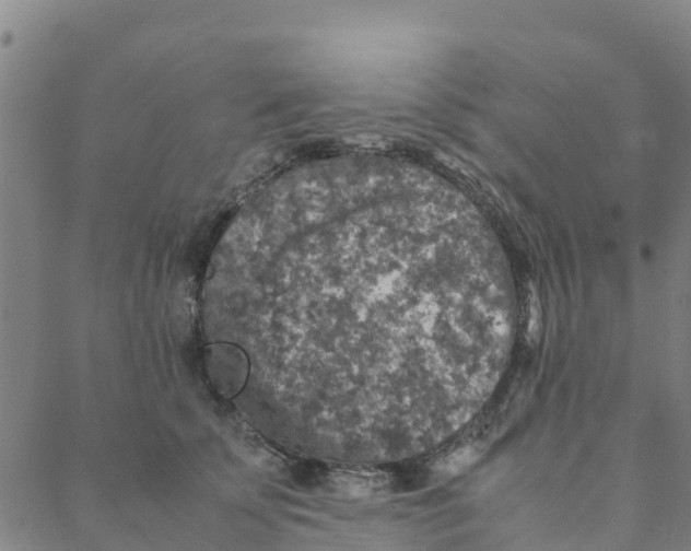 X0000088400707200706191358