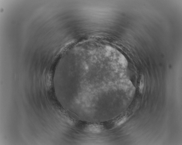 X0000088400708200706191358