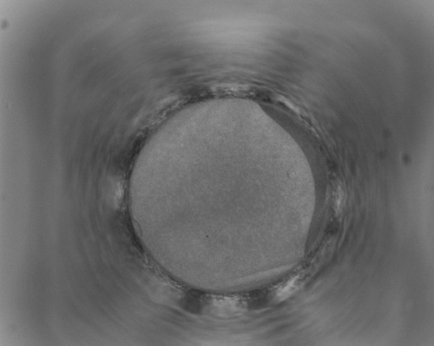 X0000088400709200706191357