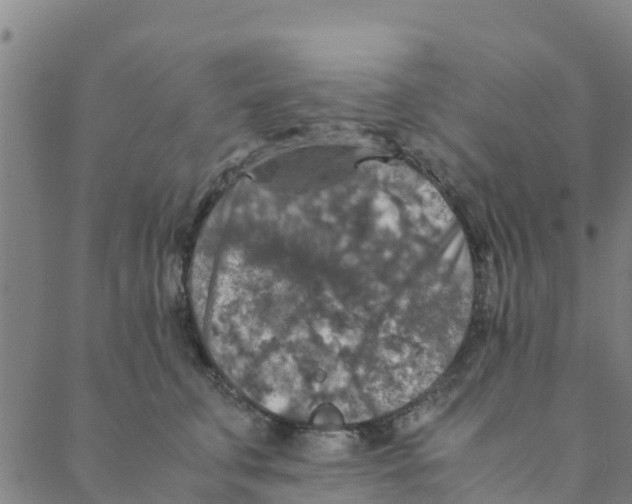 X0000088400711200706191357