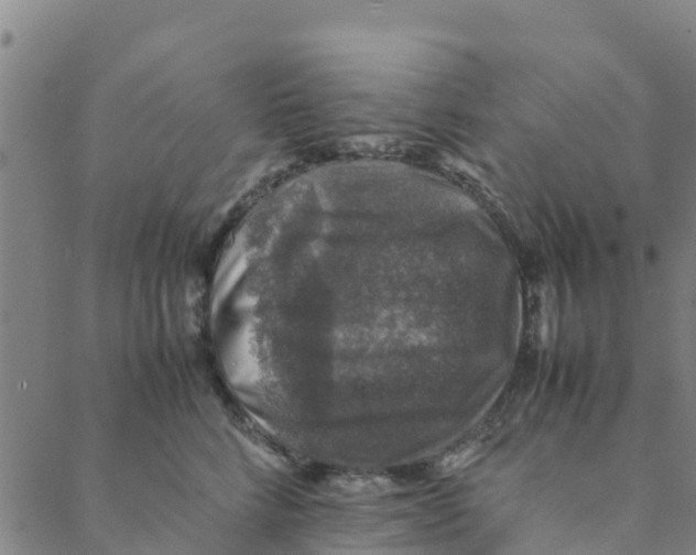 X0000088400712200706191357