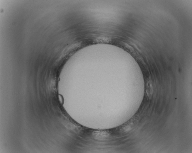 X0000088400714200706191357