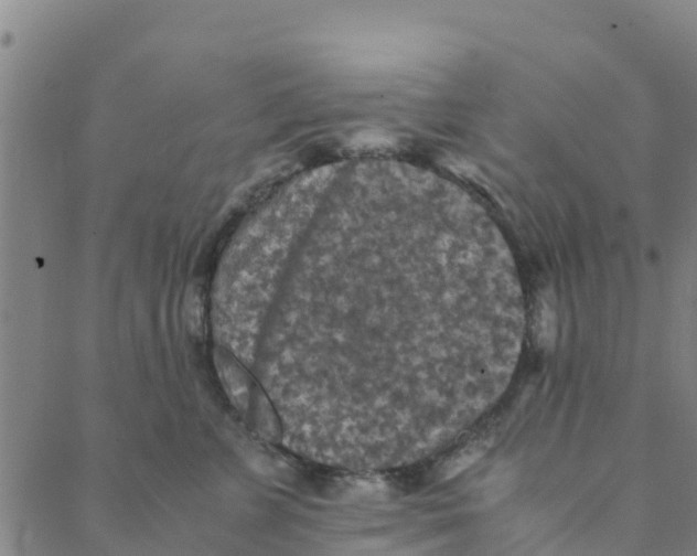 X0000088400715200706191357