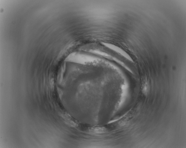 X0000088400716200706191357