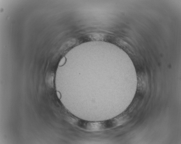 X0000088400717200706191357