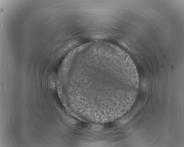 X0000088400719200706191357