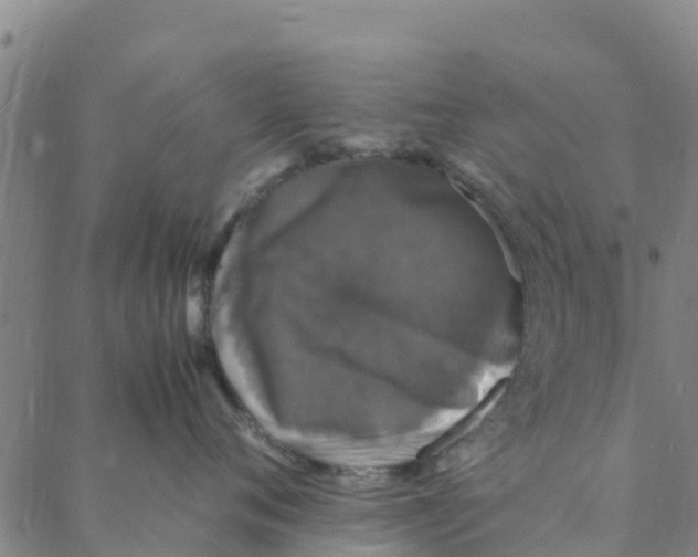 X0000088400720200706191357