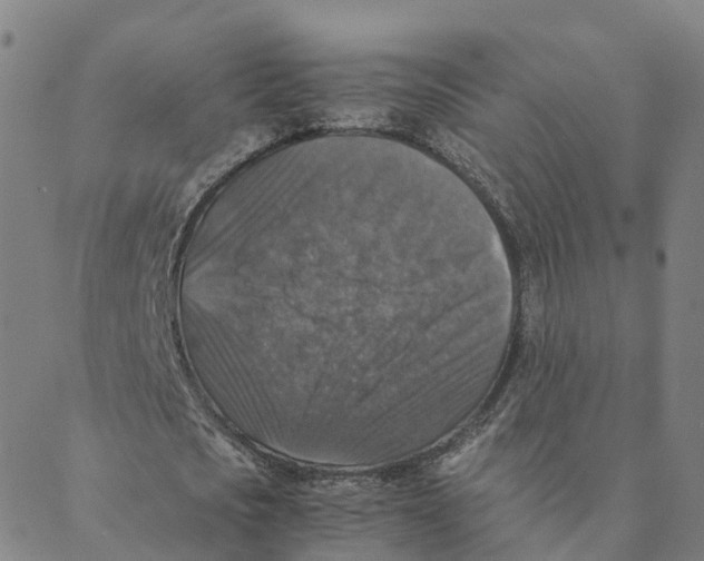 X0000088400721200706191357