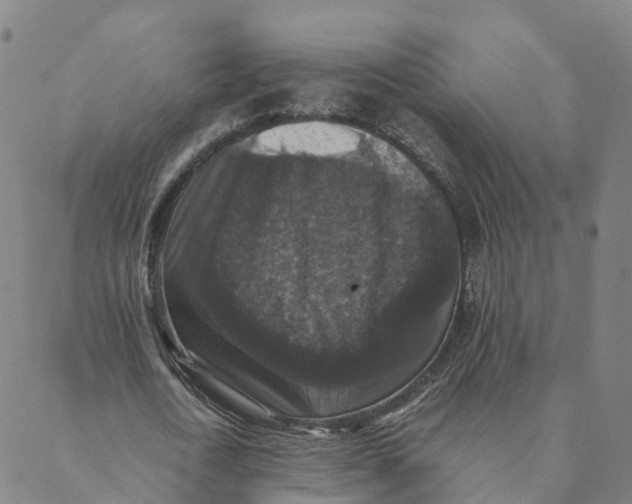 X0000088400722200706191357