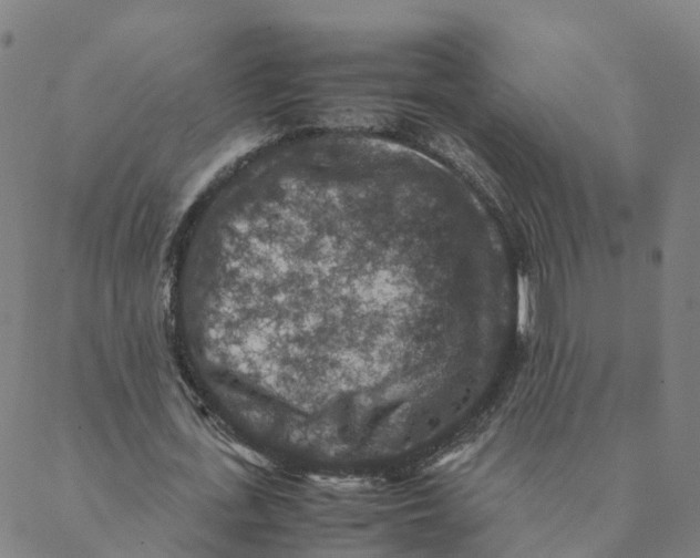 X0000088400723200706191357