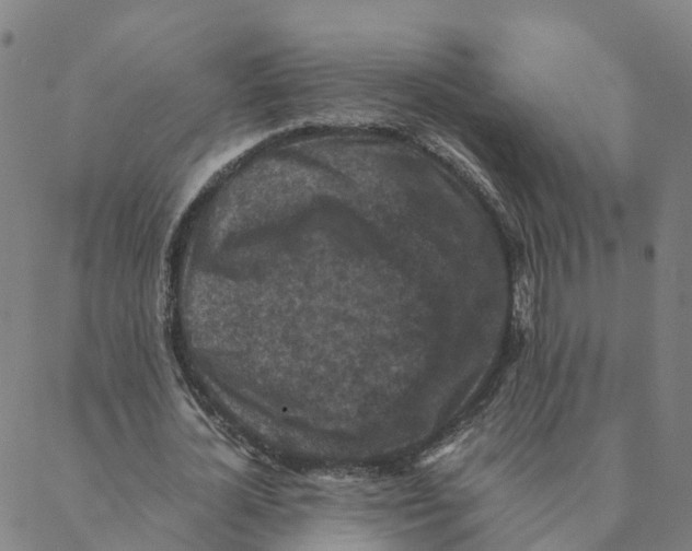 X0000088400724200706191357