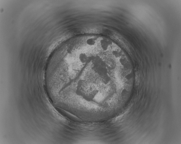 X0000088400725200706191357