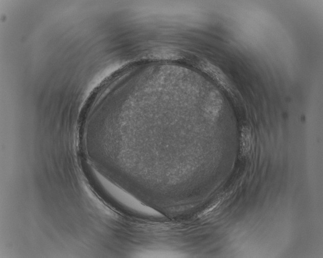 X0000088400726200706191357