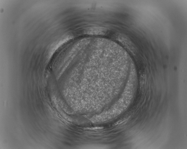 X0000088400727200706191357