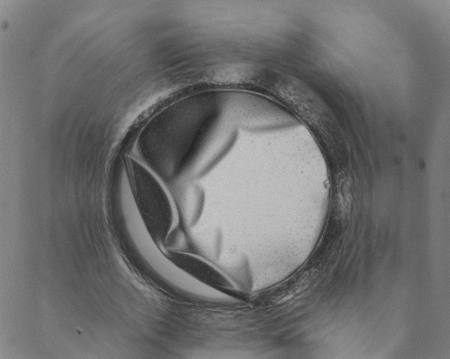 X0000088400728200706191357