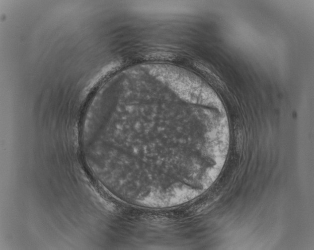 X0000088400729200706191357