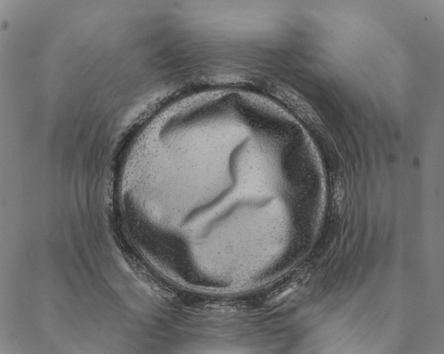 X0000088400732200706191357