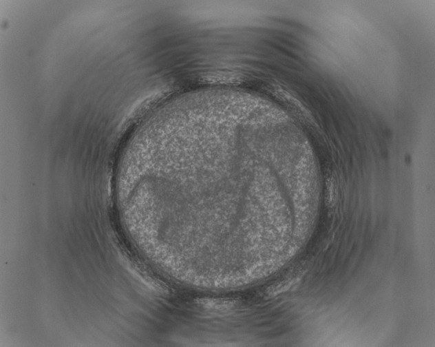 X0000088400733200706191357