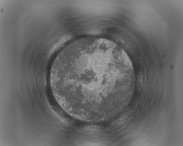 X0000088400734200706191357