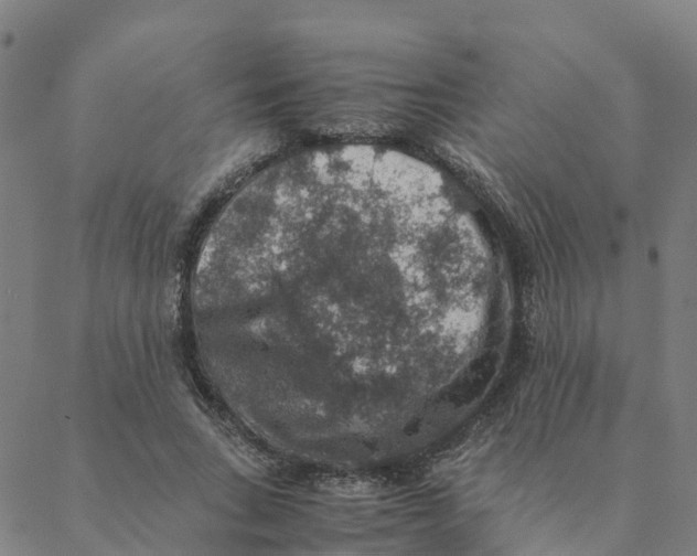 X0000088400735200706191357