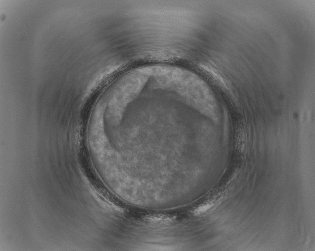 X0000088400736200706191357