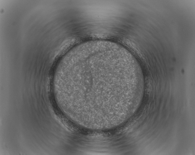 X0000088400738200706191357