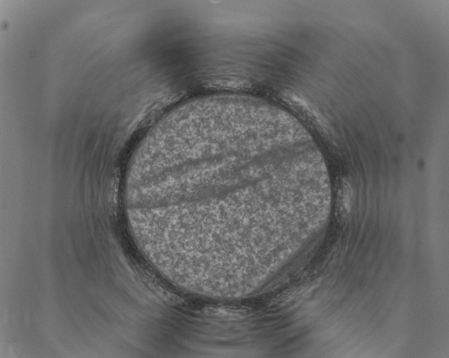 X0000088400739200706191357