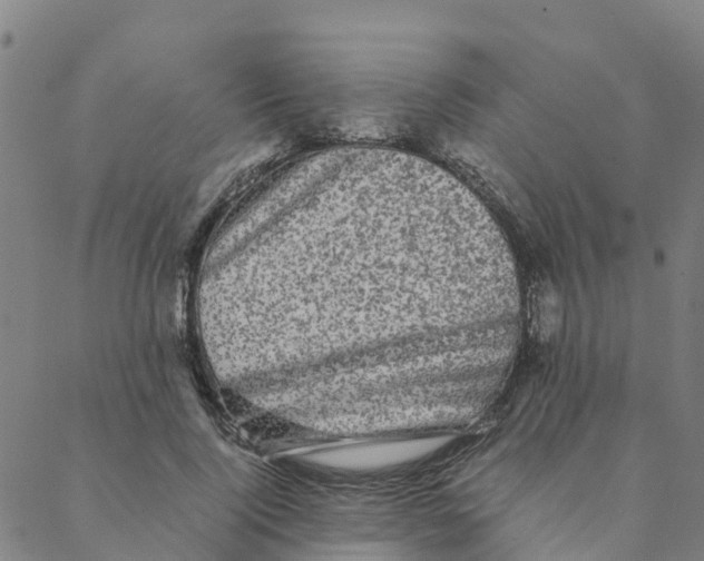 X0000088400740200706191357