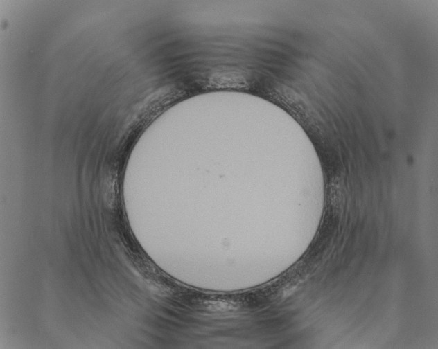 X0000088400741200706191357