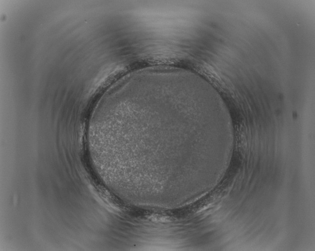 X0000088400742200706191357