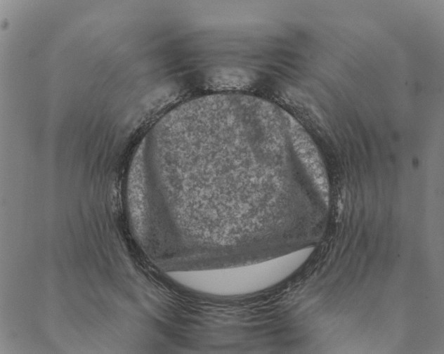 X0000088400743200706191357