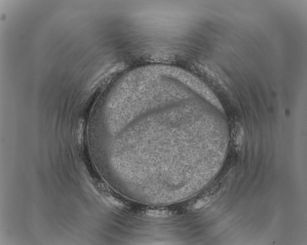 X0000088400744200706191357