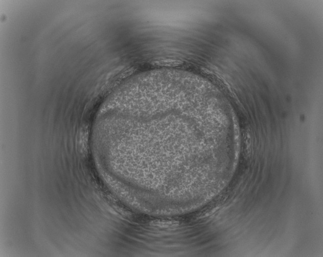 X0000088400745200706191357