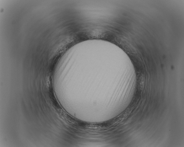 X0000088400746200706191357