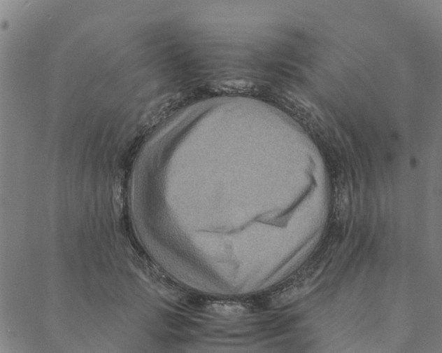 X0000088400749200706191357