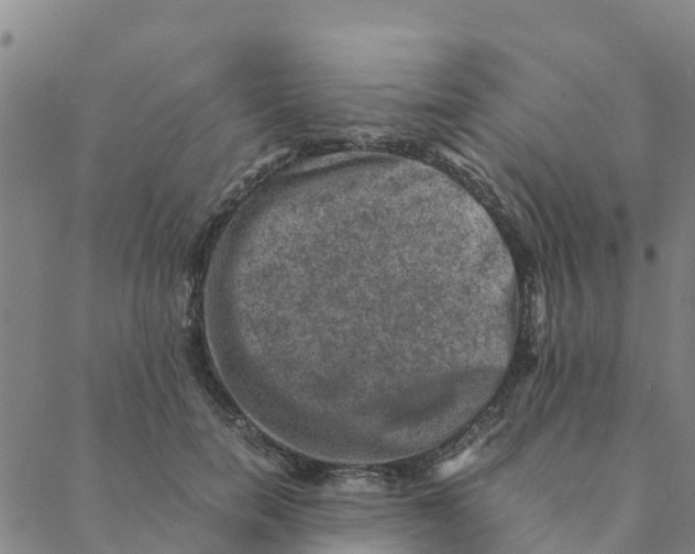 X0000088400750200706191357