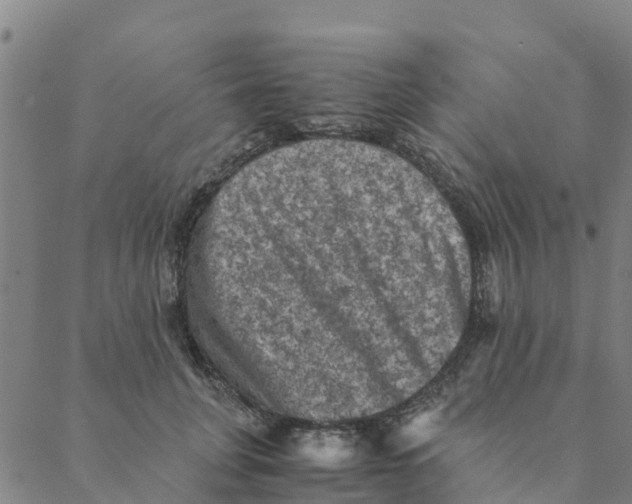 X0000088400751200706191357