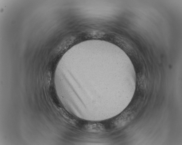 X0000088400752200706191357