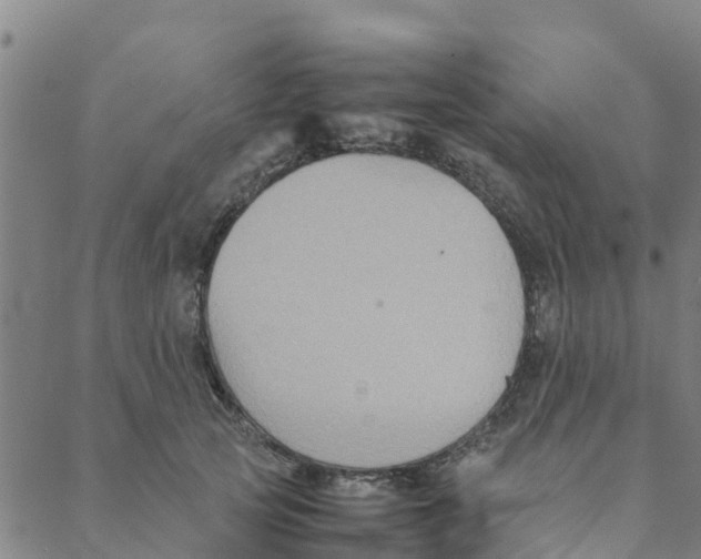 X0000088400753200706191357