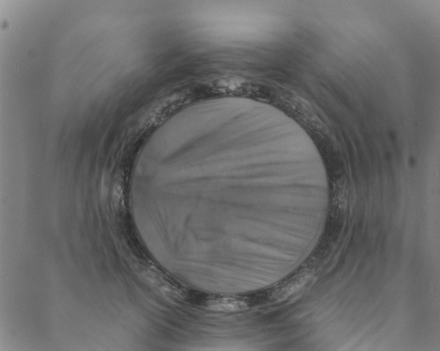 X0000088400754200706191357