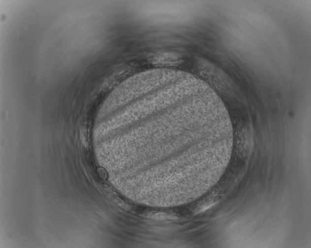 X0000088400755200706191357