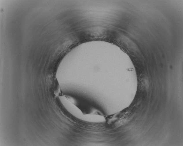 X0000088400756200706191357