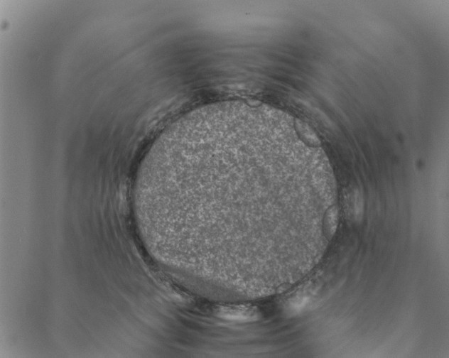 X0000088400757200706191357