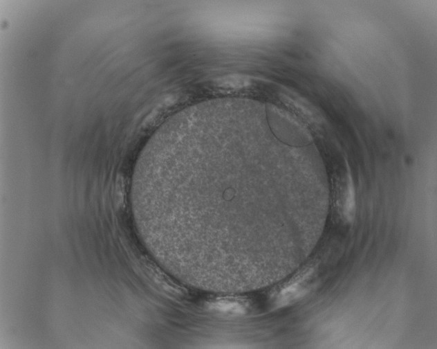 X0000088400758200706191357