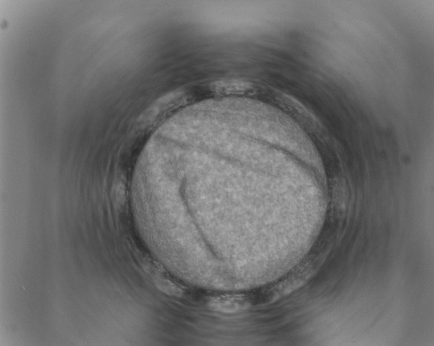 X0000088400761200706191357