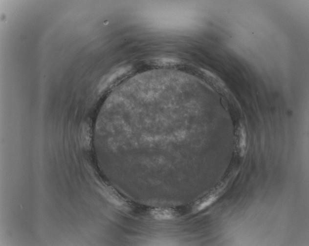 X0000088400762200706191357