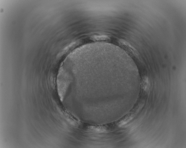 X0000088400763200706191357